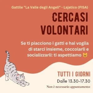 Volontari Gattile