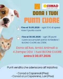 Punti Cuore conad 2026